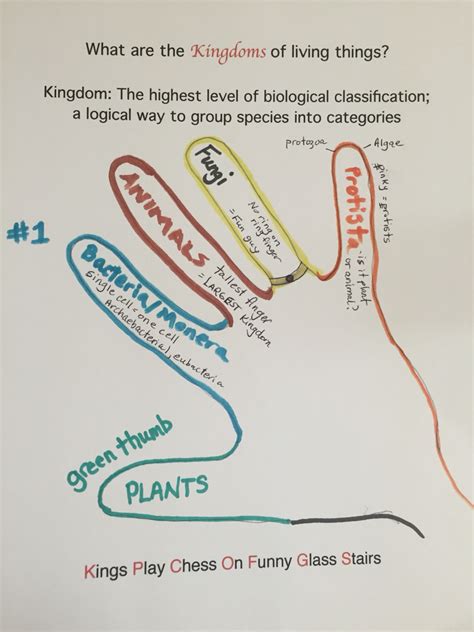 La estantería de clase: The characteristics of 5 Kingdoms