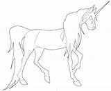 41 Magical Unicorn Coloring Pages sketch template