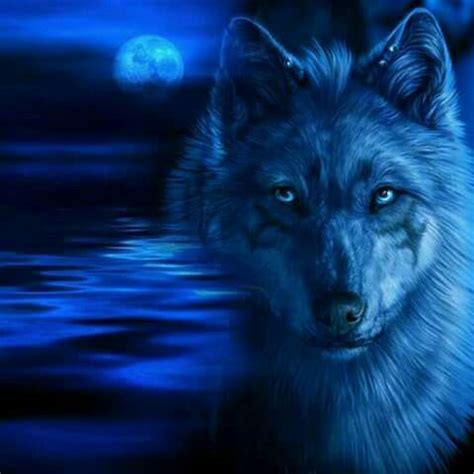 Dark Blue Neon Wolf | Wolf pictures, Wolf, Adorable kitten