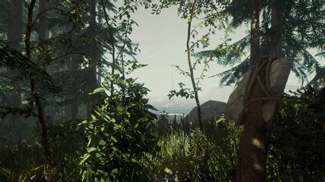 The Forest (PS4 / PlayStation 4) Game Profile | News, Reviews, Videos & Screenshots