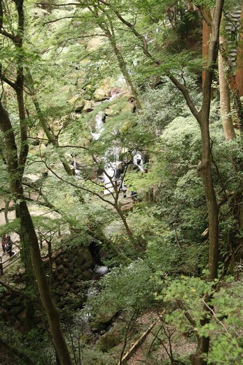 Yoro Falls - A Fountain of Youth Waterfall near Nagoya