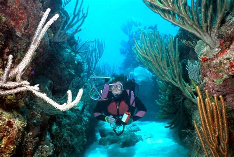 Diving & Snorkeling – East End, Roatan