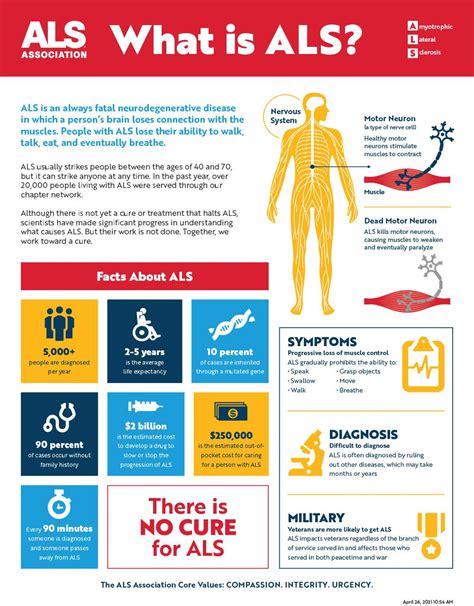 What is ALS? - Amyotrophic Lateral Sclerosis | The ALS Association