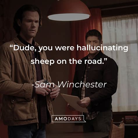 44 Sam Winchester Quotes on Love, Loyalty, and Laughter