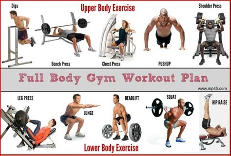 The Best Full Body Gym Workout Guide By MP45