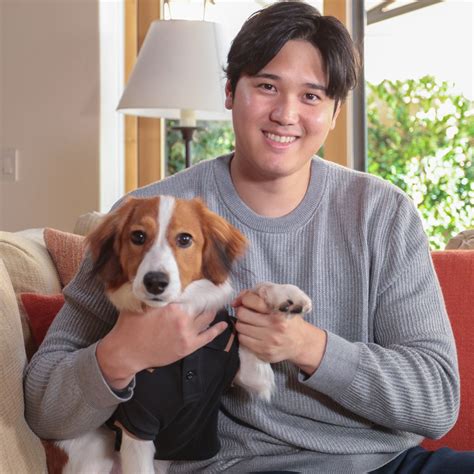 Who's a Lucky Dog? (Hint: Shohei Ohtani, His Owner Just Signed a $700-Million Contract) - WSJ