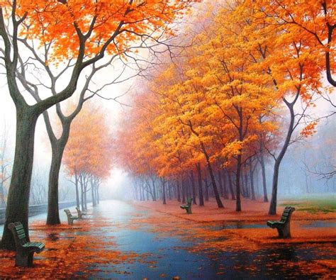 Orange fall trees | Beautiful nature, Nature photography, Beautiful pictures