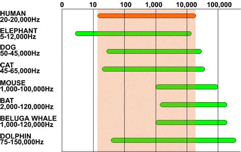 Pitch = Frequency - Sound Waves