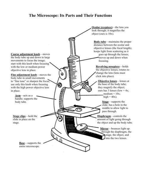 The Microscope: Its Parts and Their Functions