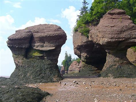 Hopewell Rocks - New Brunswick (Hopewell Cape, Canada) - Travellerspoint Travel Photography