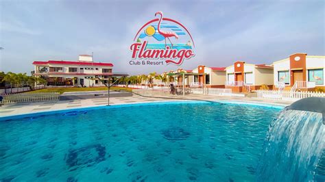 ABOUT US - FLAMINGO CLUB & RESORT