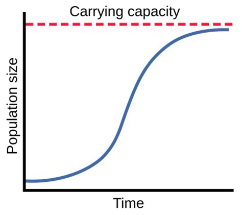 Logistic Growth Graph