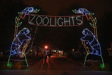 Dates for National Zoo’s ZooLights display announced - WTOP News