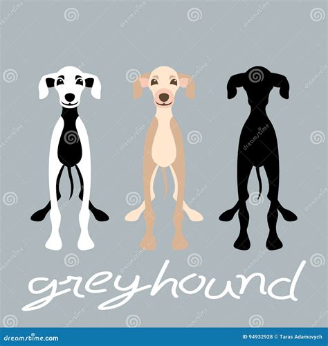 Greyhound Dog Set Vector Illustration Style Flat Silhouette Stock ...