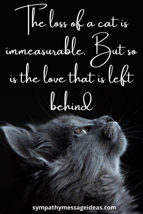 41 Heartfelt Loss of Cat Quotes and Images - Sympathy Card Messages Cat Loss Quotes, Pet Quotes ...