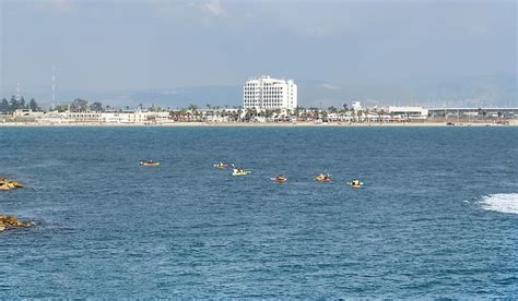 Which Countries Have A Coastline On The Levantine Sea? - WorldAtlas