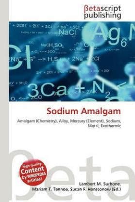 Sodium Amalgam: Buy Sodium Amalgam by unknown at Low Price in India | Flipkart.com