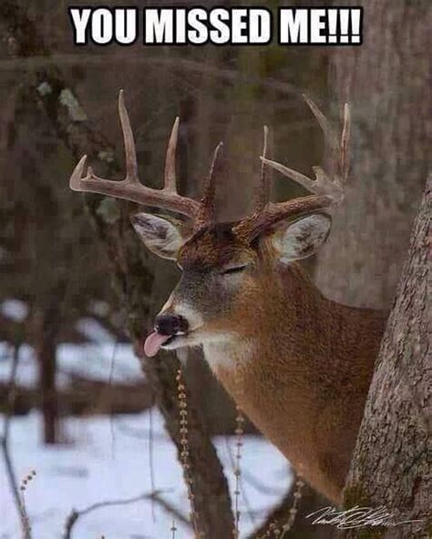 The 20 Best Deer Hunting Memes