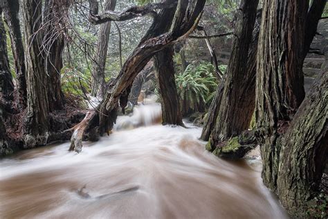 Salal Trail waterfall after the heavy rains. – Mendonoma Sightings