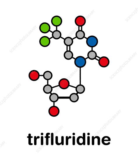 Trifluridine antiviral drug molecule, illustration - Stock Image - F028 ...