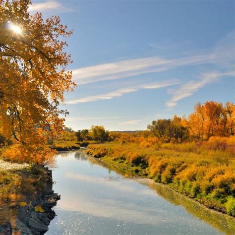 Where to Go for Fall Colors in Montana | Recommended By Montanans