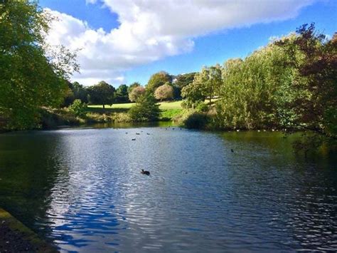 Phoenix Park | Attractions in Dublin