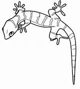 15 Beautiful Gecko Coloring Pages Photography In 2020 Sketch Coloring Page sketch template