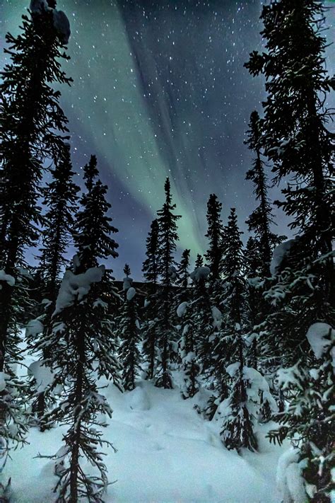 Tips for Planning your Winter Adventures and Chasing Aurora in ...