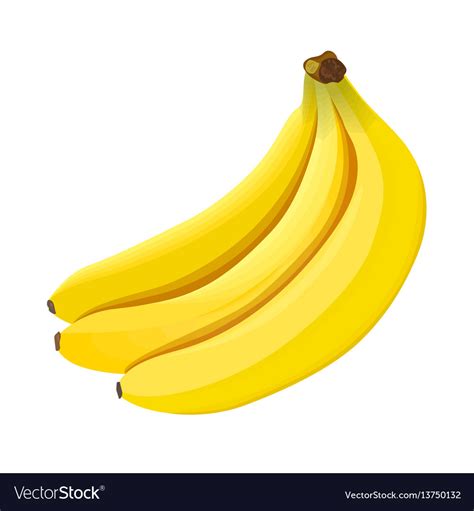 Banana ripe bananas isolated on white background Vector Image