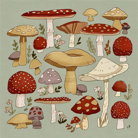 Just A Repost | Mushroom art, Mushroom drawing, Cute art