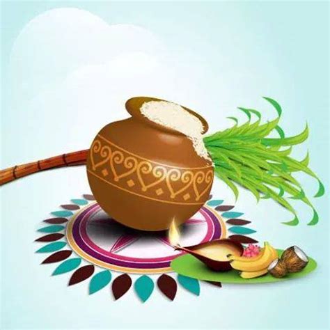 Makara Sankranthi Festival