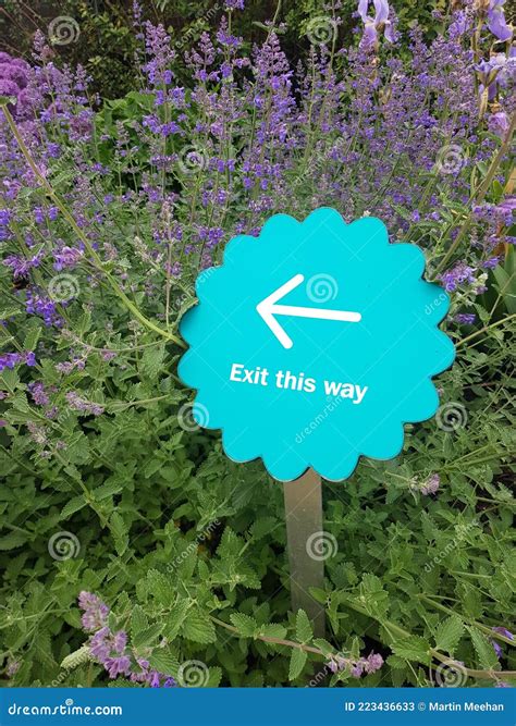 Round Blue Exit this Way Sign. Stock Image - Image of green, exit ...