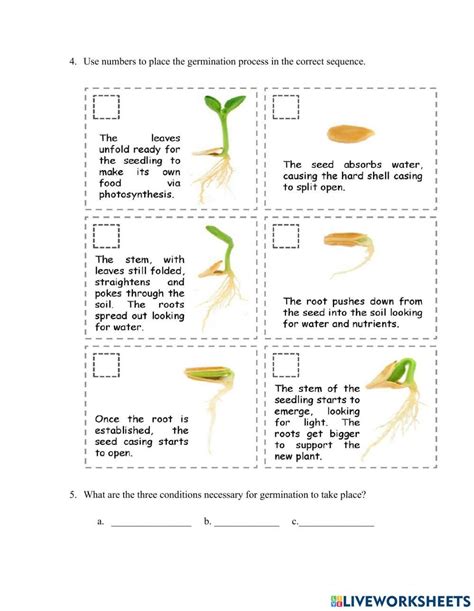 The process of germination 2276311 | nsthomas | Live