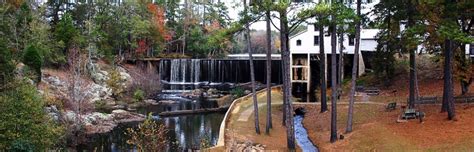 Hamburg State Park - Visit Statesboro