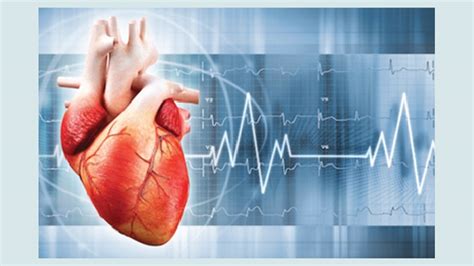 Cardiogenic Shock: A Tired Heart - Causes, Symptoms and Treatment ...