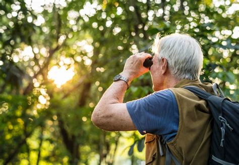 Bird Watching For Beginners: 11 Tips to Get Started - Optics Mag