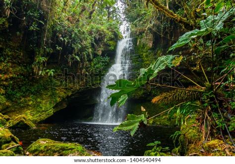 2,720 Waterfall Colombia Images, Stock Photos, 3D objects, & Vectors | Shutterstock