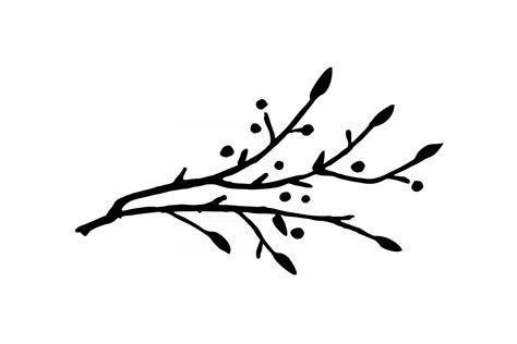 twig with leaves isolated on white background 2898534 Vector Art at ...