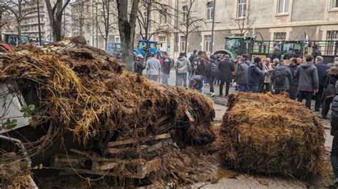 Fed up French farmers spray manure on government buildings in protest ...