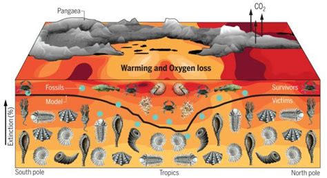 deoxygenation Archives - Universe Today