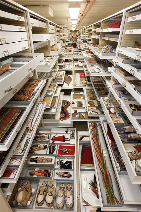 inside the archives: storage at the smithsonian natural history museum