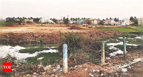 Silt Fills Up Parts Of Sembakkam Lake | Chennai News - Times of India