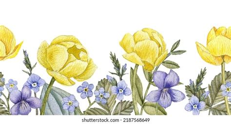 Watercolor Drawing Seamless Border Spring Flowers Stock Illustration 2187568649 | Shutterstock