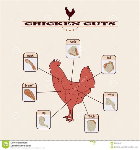 A simple chart about chicken cuts. | Chicken, Illustration, Factory design