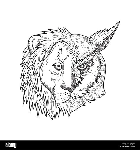 Half Lion Half Tiger Drawing