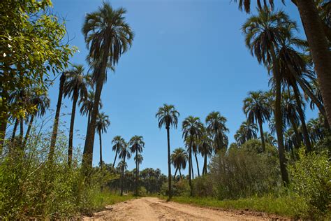 El Palmar National Park (Official GANP Park Page)