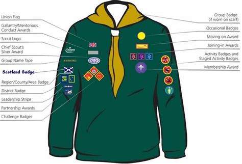 Badge Placement | Cubs | 17th West Lothian Scout Group