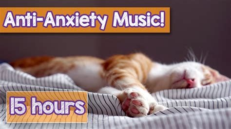 Calming our cats - music to their ears.