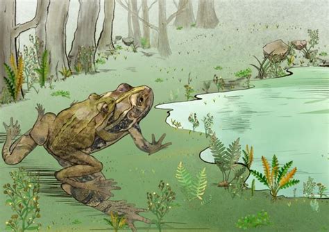 Ancient frog had a belly full of eggs in oldest fossil discovery of its kind | Salon.com