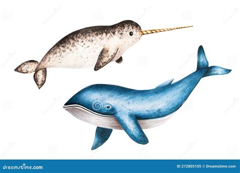 Watercolor Narwhal With Long Tusk And Blue Whale Isolated On White ...